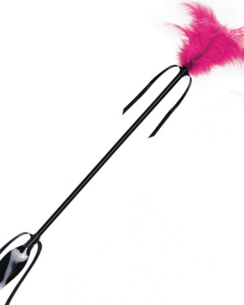 Frustino con piuma fucsia